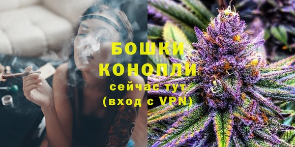 индика Кукмор