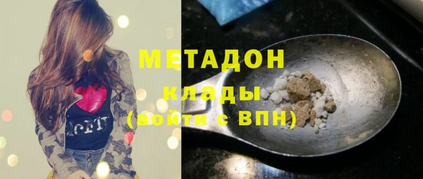 индика Кукмор