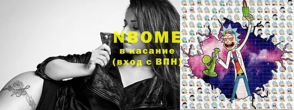 индика Кукмор