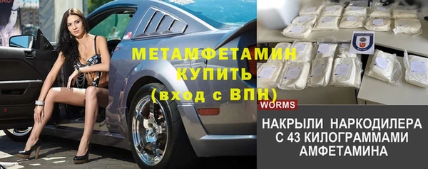 индика Кукмор