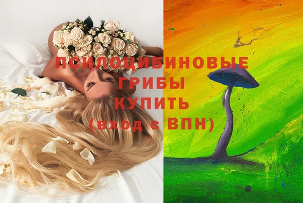 каннабис Куйбышев